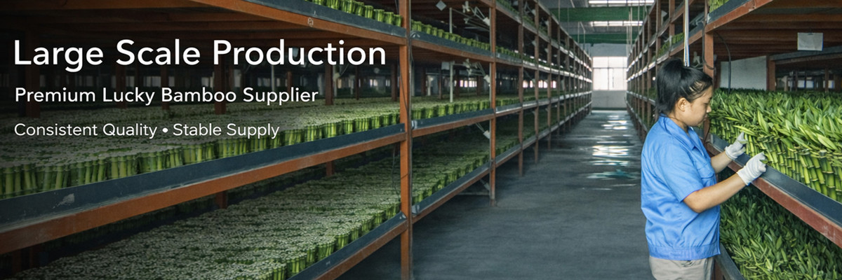 Earth & Ocean - Production